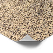 Straße durch das Wüstenposter Poster (Ecke)