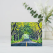 Straße durch dichte Baumallee Feiertagspostkarte (Stehend Vorderseite)