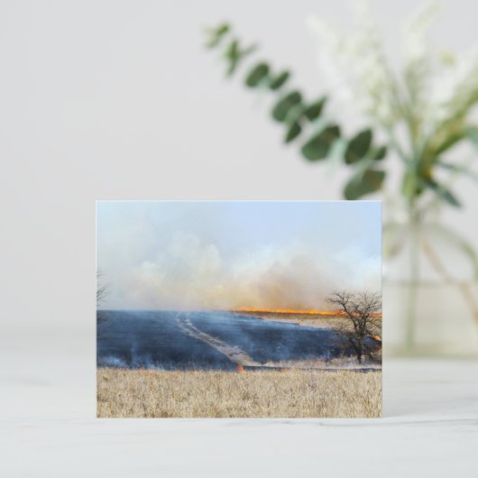 Straße durch die Prairie Burn 24 x 16 Postkarte (Stehend Vorderseite)