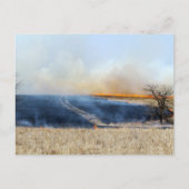 Straße durch die Prairie Burn 24 x 16 Postkarte (Vorderseite)