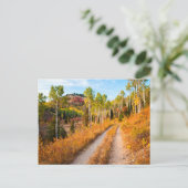 Straße durch Herbstfarben Postkarte (Stehend Vorderseite)