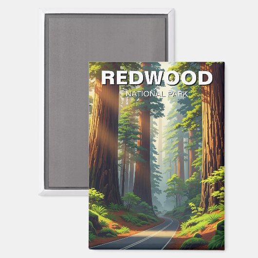 Straße im Redwood-Nationalpark Magnet (Vorderseite/Rückseite)