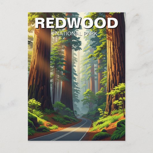 Straße im Redwood-Nationalpark Postkarte (Vorderseite)