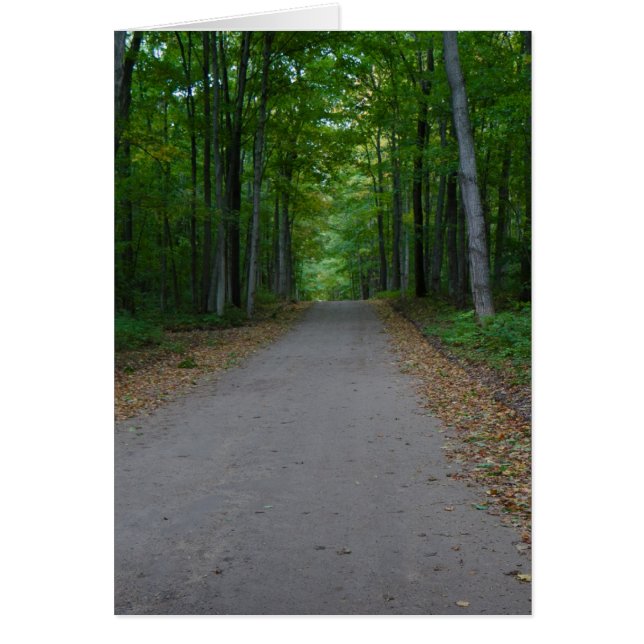 Straße im Wald. (Vorne)