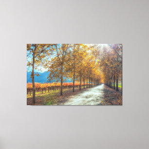 Straße im Weingarten Herbst Leinwanddruck