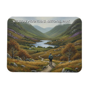 Straße im Wicklow-Mountains-Nationalpark Irland Magnet