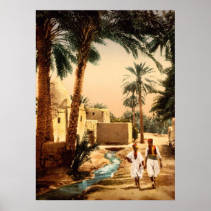 Straße in der alten Stadt, II, Biskra, Algerien Poster