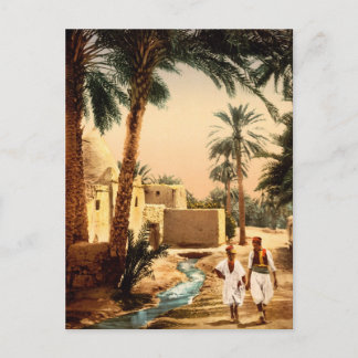 Straße in der Altstadt, Biskra, Algerien Postkarte