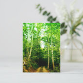 Straße in der Waldpostkarte Postkarte (Stehend Vorderseite)