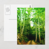 Straße in der Waldpostkarte Postkarte (Vorne/Hinten)