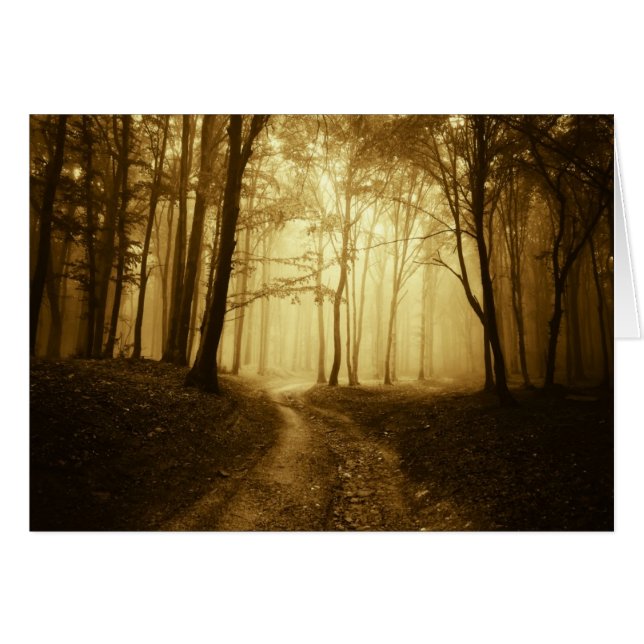 Straße in einem dunklen Wald mit Nebel (Vorderseite (Horizontal))