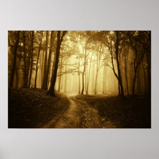 Straße in einem dunklen Wald mit Nebel Poster (Vorne)