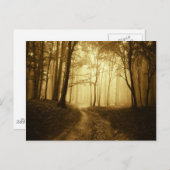 Straße in einem dunklen Wald mit Nebel Postkarte (Vorne/Hinten)