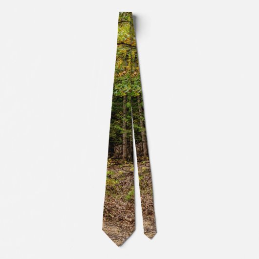 Straße in Saasons wechseln Neck Tie Krawatte (Vorderseite)