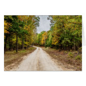 Straße in Saisons Wandel (Vorderseite (Horizontal))