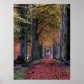 STRASSE MIT FALLENDEN BLÄTTER ZWISCHEN BÄUMEN POSTER (Vorne)