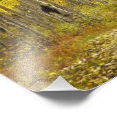 Straße mit Herbstfarben und -aspeln in Kebler 2 Fotodruck (Ecke)