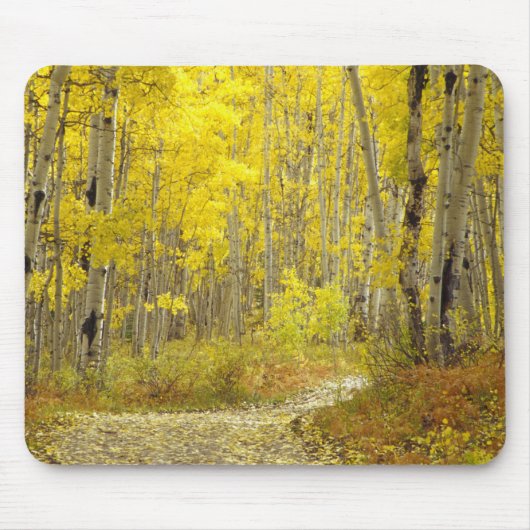 Straße mit Herbstfarben und -aspeln in Kebler 2 Mousepad (Vorne)