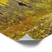 Straße mit Herbstfarben und -aspeln in Kebler 2 Poster (Ecke)