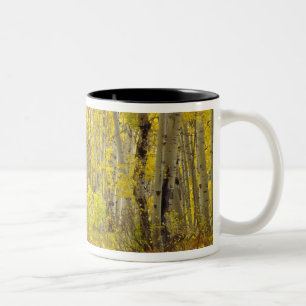 Straße mit Herbstfarben und -aspeln in Kebler 2 Zweifarbige Tasse