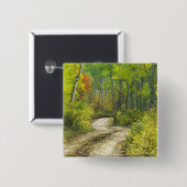 Straße mit Herbstfarben und -aspeln in Kebler Button (Vorne & Hinten)