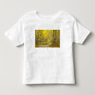 Straße mit Herbstfarben und Espen in Kebler 2 Kleinkind T-shirt