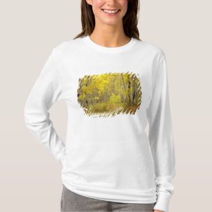 Straße mit Herbstfarben und Espen in Kebler 2 T-Shirt