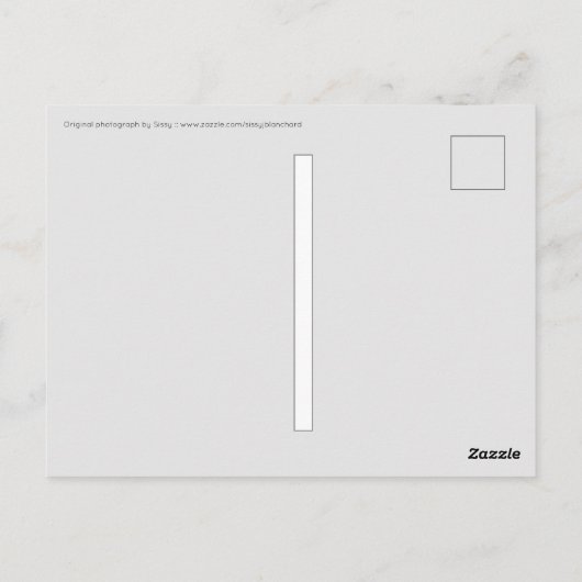 Straße nach Nirgendwo Postkarte (Rückseite)