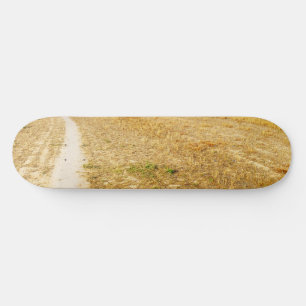 Straße nach Sansol Skateboard