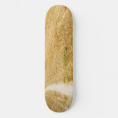 Straße nach Sansol Skateboard (Vorderseite)