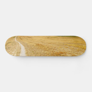 Straße nach Sansol Skateboard