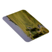 Straße nach Terrapille auf dem Toskana-Magneten Magnet (Rechte Seite)