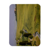 Straße nach Terrapille auf dem Toskana-Magneten Magnet (Vertikal)