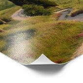 Straße nach Terrapille, Foto in der Toskana (Ecke)