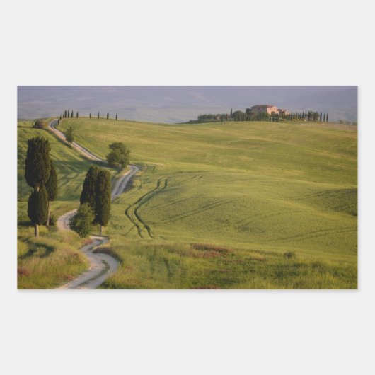 Straße nach Terrapille in der Toskana, rechteckige Rechteckiger Aufkleber (Vorderseite)