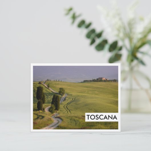 Straße nach Terrapille in Toskana, Toskana Postkarte (Stehend Vorderseite)