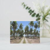 Straße Rangiroa zum Paradies Postkarte (Stehend Vorderseite)