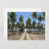 Straße Rangiroa zum Paradies Postkarte (Vorne/Hinten)