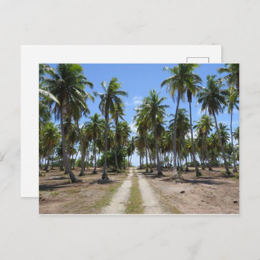 Straße Rangiroa zum Paradies Postkarte (Vorne/Hinten)