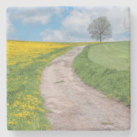 Straße und Baum Steinuntersetzer (Vorderseite)