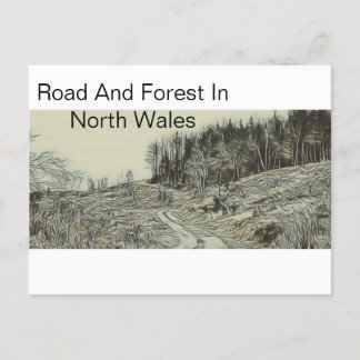 Straße und Wald in Nordwales Postkarte