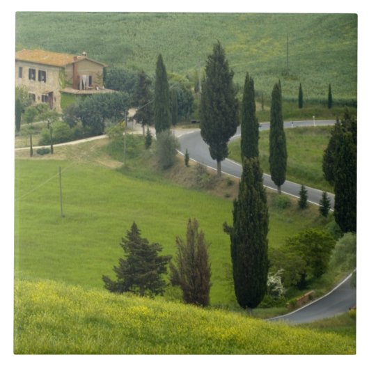 Straße von Pienza nach Montepulciano, 2 Fliese (Vorderseite)