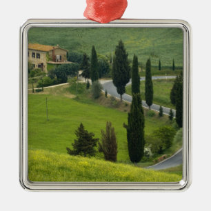 Straße von Pienza nach Montepulciano, 2 Silbernes Ornament