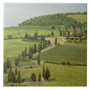 Straße von Pienza nach Montepulciano, Fliese