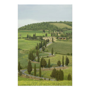 Straße von Pienza nach Montepulciano, Fotodruck