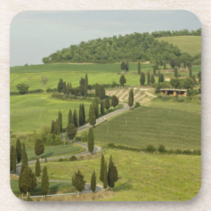 Straße von Pienza nach Montepulciano Getränkeuntersetzer