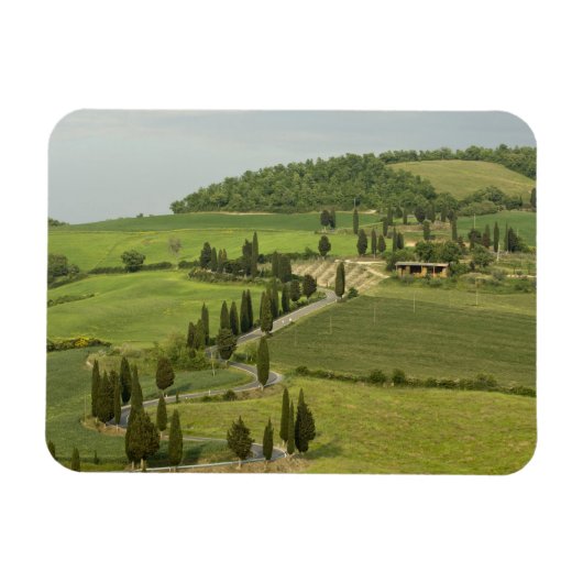 Straße von Pienza nach Montepulciano Magnet (Horizontal)