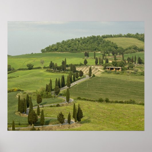 Straße von Pienza nach Montepulciano Poster (Vorne)