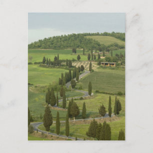 Straße von Pienza nach Montepulciano Postkarte