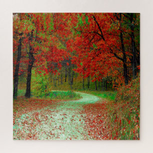 STRASSE WALDBÄUME BOTANISCHE NATUR LANDSCHAFT  PUZZLE